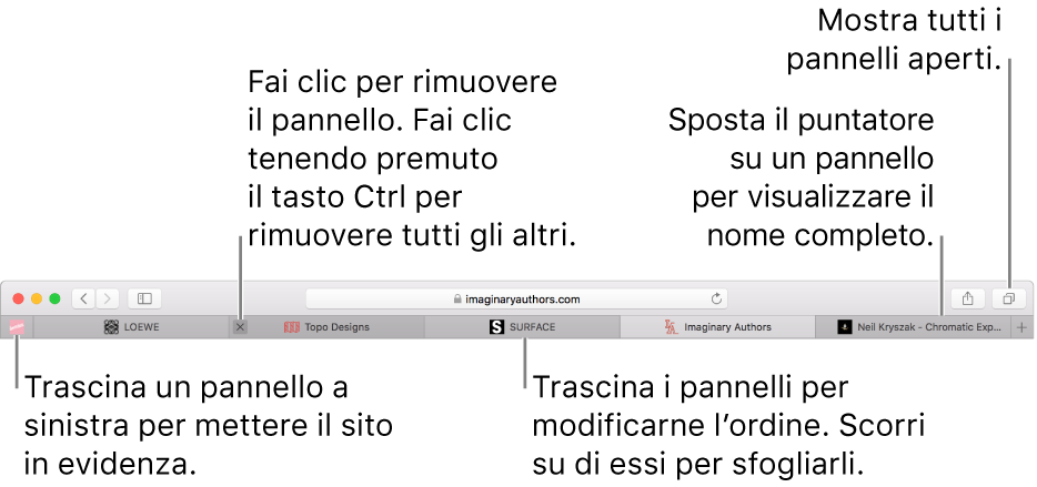 La finestra di Safari con pannelli.