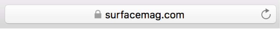 표준 인증서가 있는 사이트의 암호화 아이콘(자물쇠 모양).
