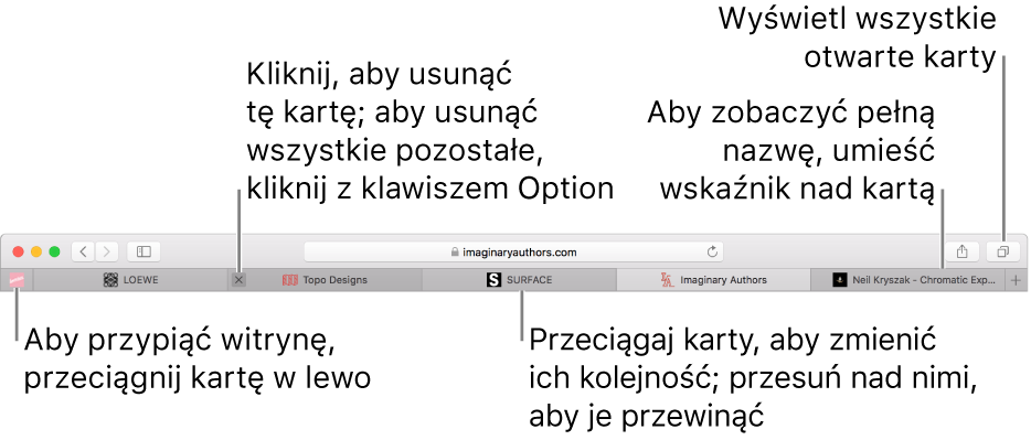Okno Safari z kartami.