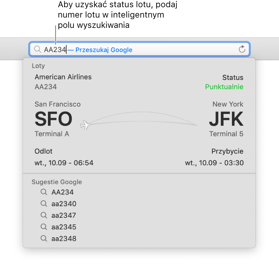 Numer lotu wpisany w inteligentnym polu wyszukiwania. Bezpośrednio poniżej tego pola widoczny jest status lotu.