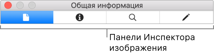 Панели Инспектора изображений.