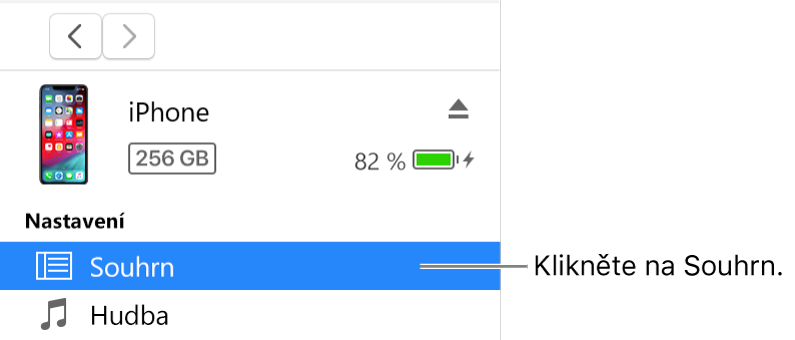Okno Zařízení s položkou Souhrn vybranou na bočním panelu vlevo.