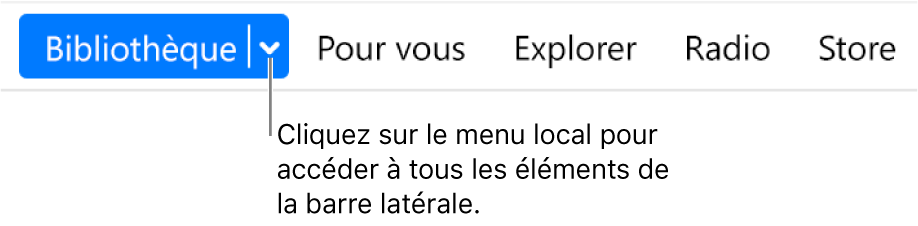 Le bouton Bibliothèque dans la barre de navigation affichant le menu local ; cliquez dessus pour accéder à tous les éléments de la barre latérale lorsque vous la masquez.