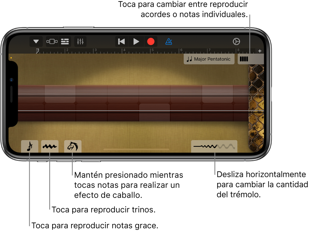 Erhu, en la visualización de notas.
