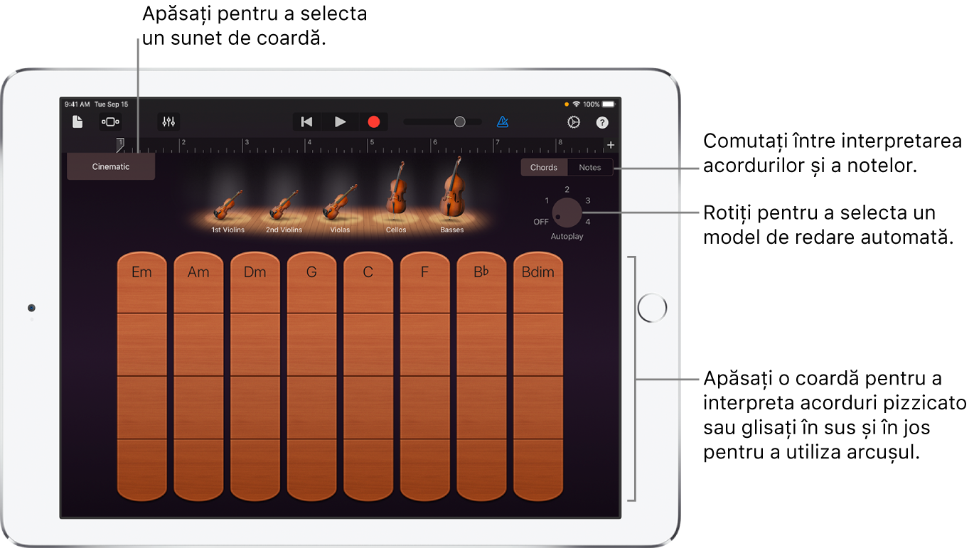 Instrument tactil Coarde