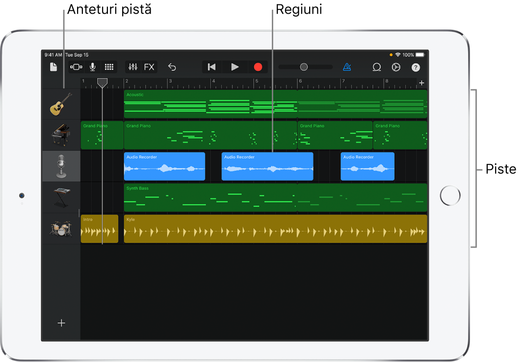Vizualizarea Piste, afișând piste, anteturi și regiuni