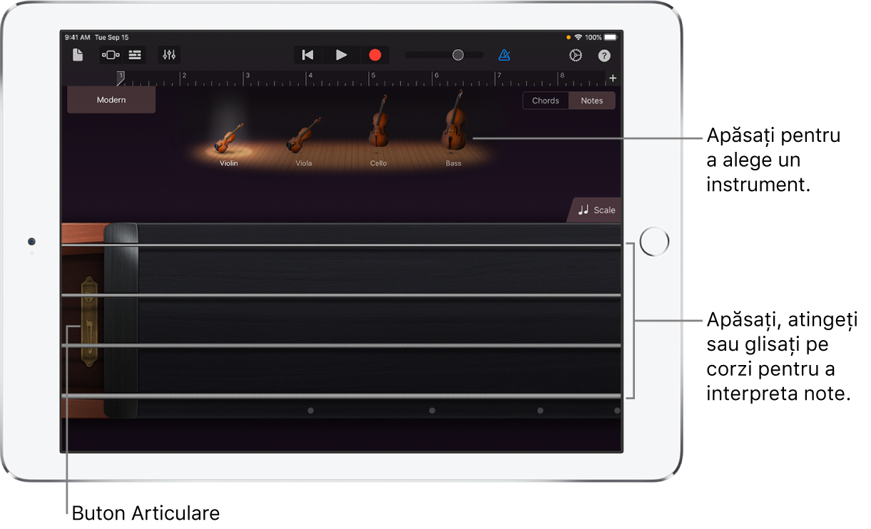 Vizualizare Note pe instrumentul tactil Coarde