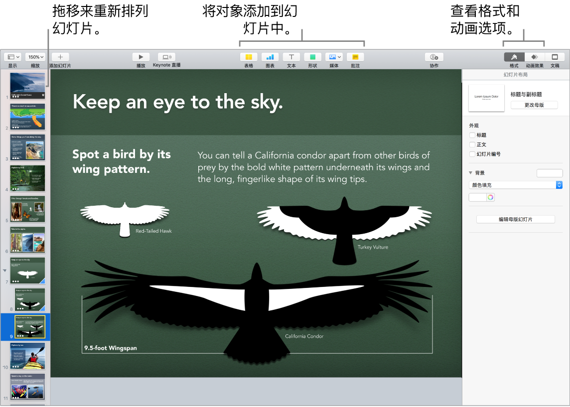 Keynote 讲演窗口,显示如何重新排列幻灯片,并指明用来将对象添加到幻灯片的按钮,包括格式化和动画选项。