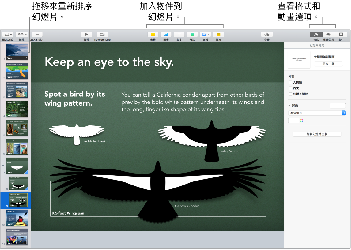 Keynote 視窗,顯示如何重新排序幻燈片,以及標明可讓您將物件加入幻燈片的按鈕,包含格式和動畫選項。