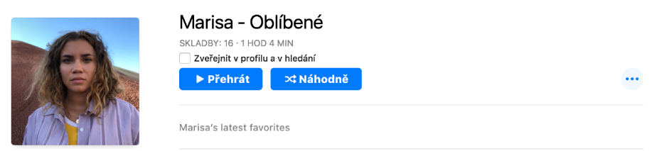 Playlist s přizpůsobenou grafikou Grafiku můžete přizpůsobit přetažením obrázku do oblasti grafiky.