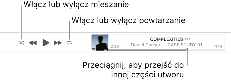 Baner oraz odtwarzany utwór. Przycisk mieszania znajduje się w lewym górnym rogu; przycisk powtarzania znajduje się w prawym górnym rogu. Przeciągnij głowicę, aby przejść do innej części utworu.