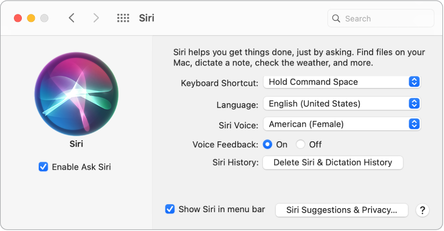 „Siri“ nuostatų langas, kairėje pažymėta parinktis „Enable Ask Siri“, dešinėje pateiktos kelios „Siri“ individualizavimo parinktys.