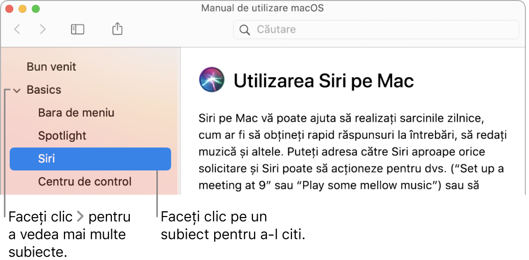 Vizualizator Ajutor afișând modul de vizualizare a subiectelor prezentate în bara laterală și modul de afișare a conținutului unui subiect.