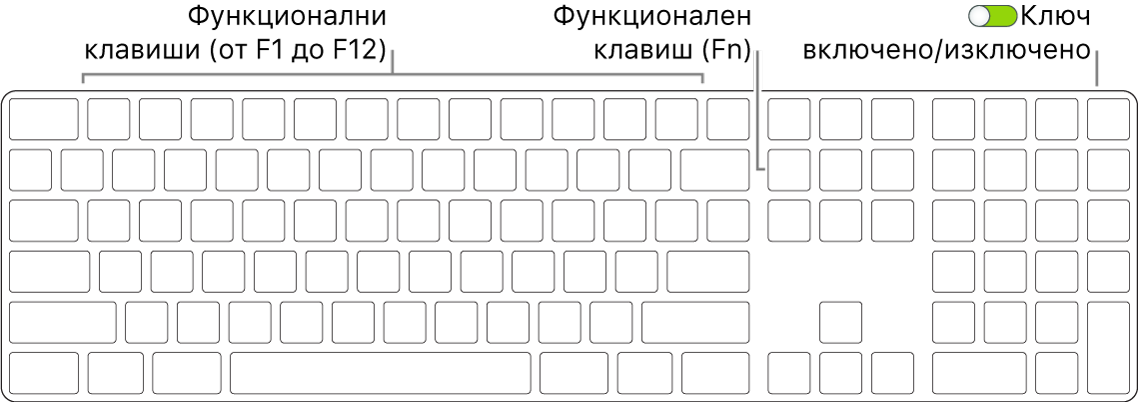 Клавиатура Magic Keyboard, показваща функционалния клавиш (Fn) в долния ляв ъгъл и преключвателя за включване/изключване в горния десен ъгъл на клавиатурата.
