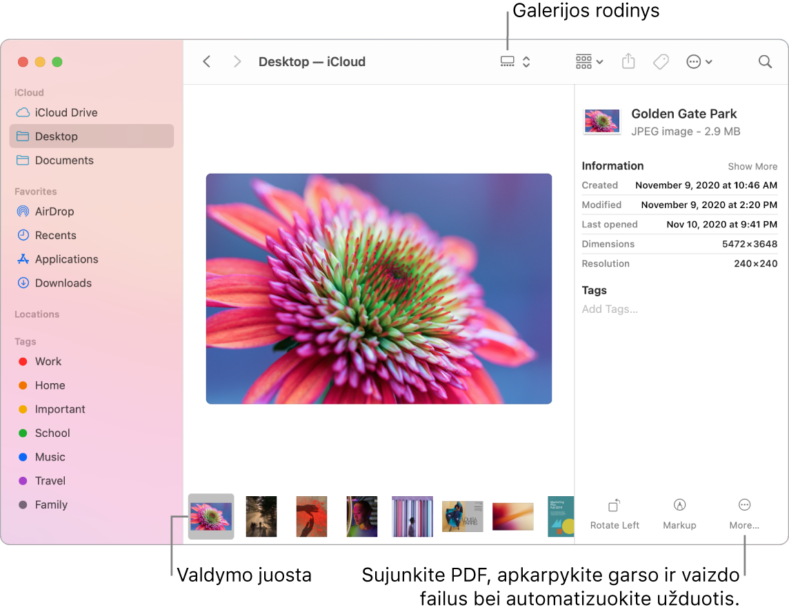 Galerijos rodinyje atidarytas „Finder“ langas, rodantis didelę nuotrauką ir po ja pateiktą mažesnių nuotraukų eilę – slinkimo juostą. Sukimo, žymėjimo ir papildomos informacijos valdikliai pateikti dešinėje slinkimo juostos pusėje.