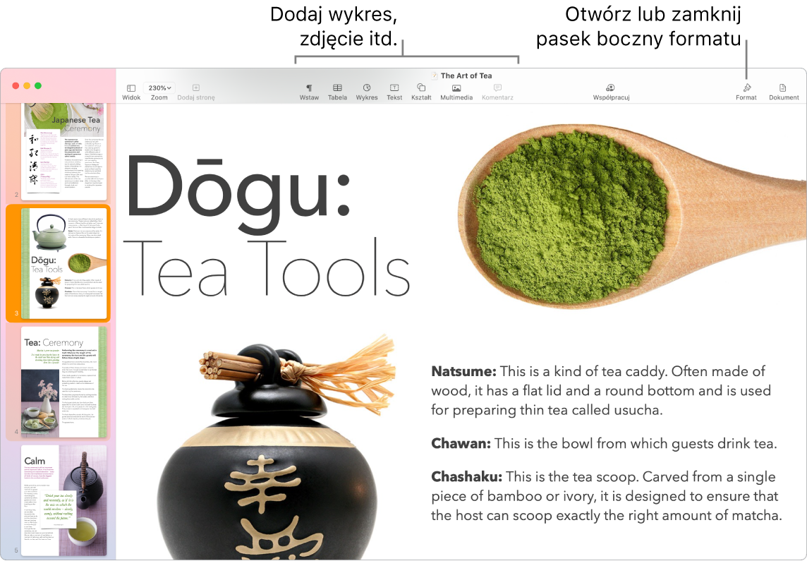 Okno aplikacji Pages z miniaturkami stron widocznymi na pasku bocznym po lewej. Na górze okna znajduje się pasek narzędzi zawierający narzędzia edycji. W pobliżu prawego górnego rogu widoczny jest przycisk współpracy, a na prawo od niego znajdują się przyciski Format oraz Dokument.