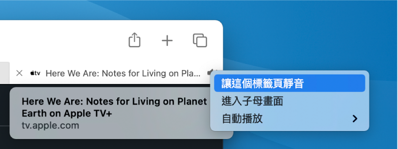「音訊」圖像的子選單,含有「讓這個標籤頁靜音」、「進入子母畫面」和「自動播放」項目。