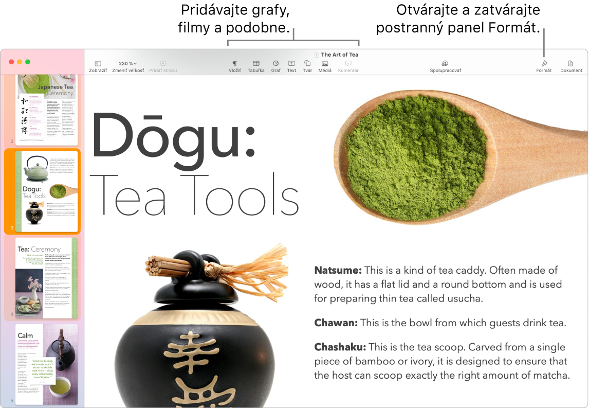 Okno Pages zobrazujúce miniatúry strán otvorené v postrannom paneli naľavo, panel s nástrojmi a jeho nástroje úprav v hornej časti, tlačidlo Spolupracovať v pravej hornej časti a tlačidlá Formátovať a Dokument napravo.
