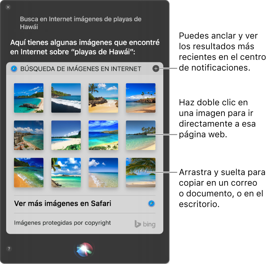 Ventana de Siri mostrando los resultados de Siri de la solicitud “Buscar en la web imágenes de playas en Hawaii”. Puedes anclar los resultados al centro de notificaciones, hacer doble clic en una imagen para abrirla en la página web que contiene la imagen, o arrastrar una imagen a un correo, documento o al escritorio.