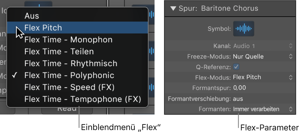 Abbildung. Informationsfenster „Spur“ mit Flex-Algorithmen und Parametern