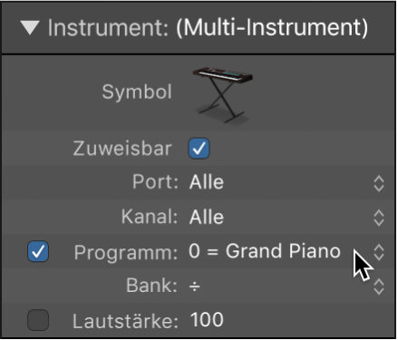 Abbildung. Informationsfenster „Standardmäßiges Instrument-Objekt“ mit Anzeige des Parameters „Programm“ und des Markierungsfelds