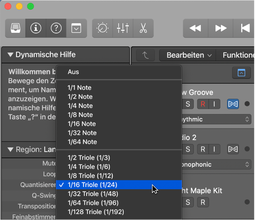 Abbildung. Einblendmenü „Quantisierung“ im Informationsfenster „Region“