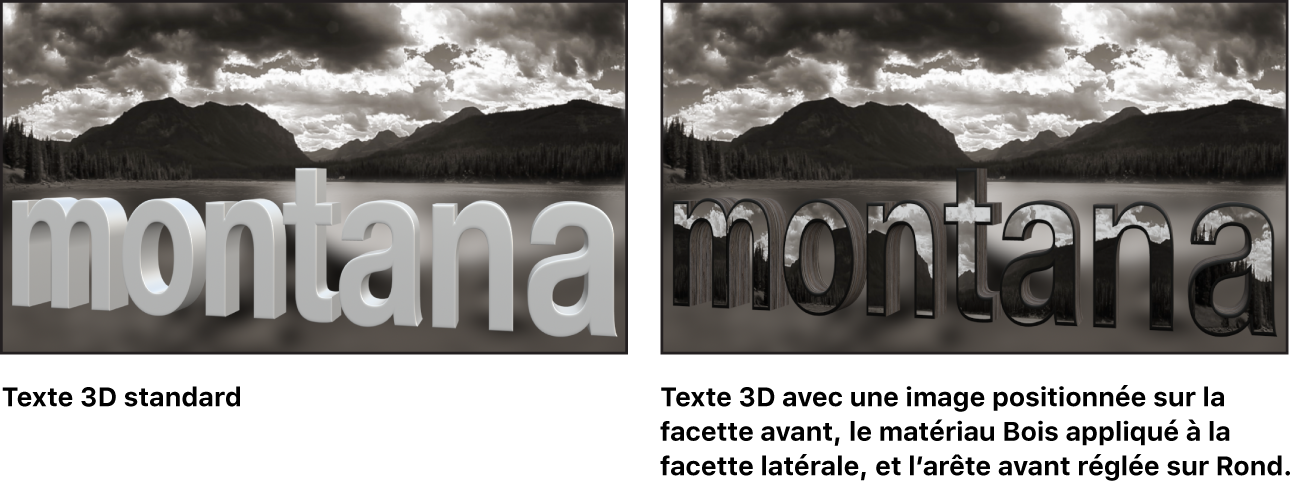 Canevas affichant un texte 3D de base et un texte 3D avec une image personnalisée positionnée sur la facette avant, la substance Bois appliquée à la facette latérale et l’arête avant réglée sur Rond