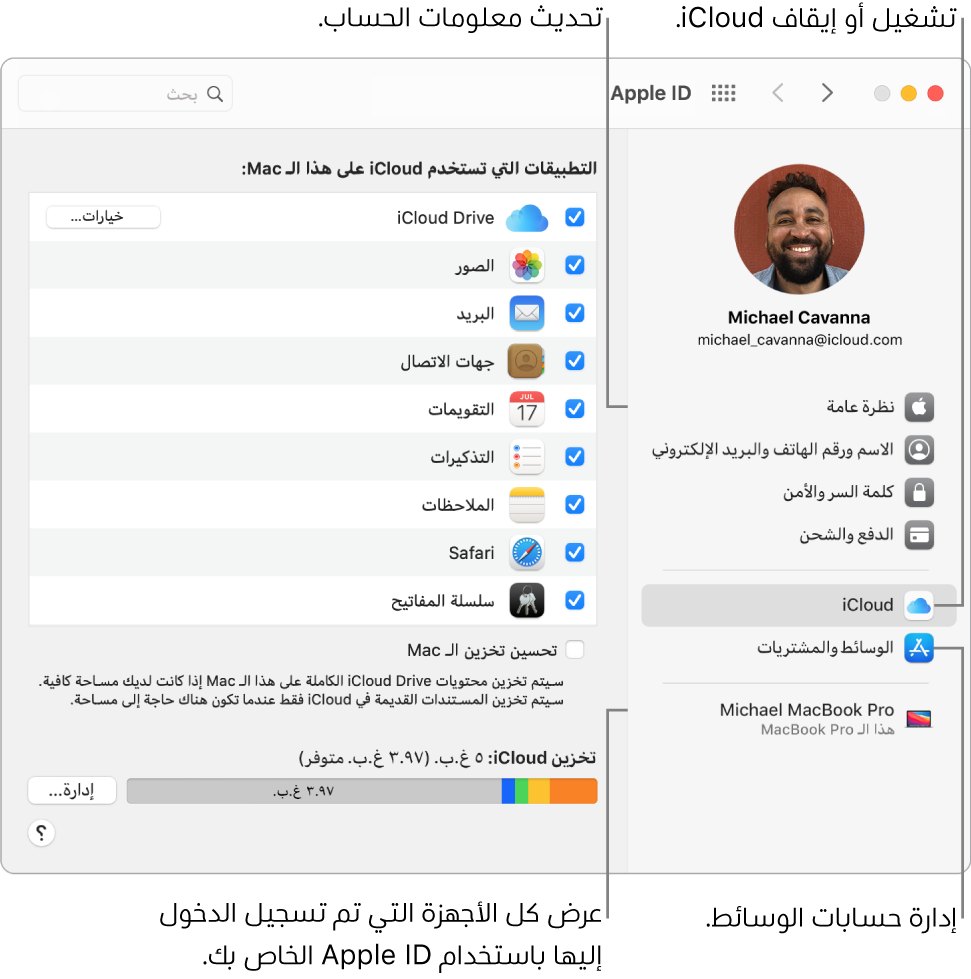 جزء Apple ID في تفضيلات النظام. انقر على عنصر في الشريط الجانبي لتحديث معلومات حسابك وتشغيل iCloud أو إيقافه أو إدارة حسابات الوسائط أو عرض جميع الأجهزة التي سجلت الدخول عليها باستخدام Apple ID.