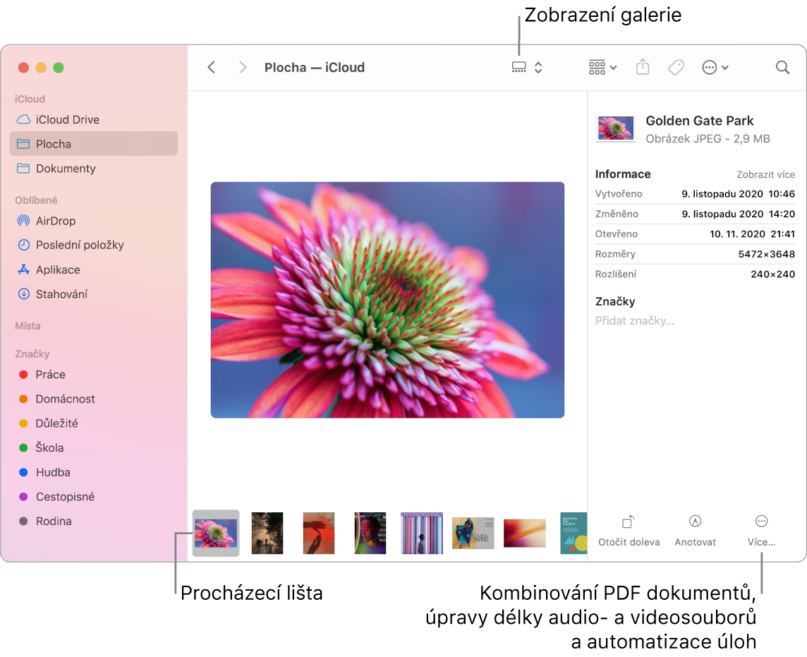 Otevřené okno Finderu se zobrazením galerie, v němž je vidět velká fotka a pod ní řádek menších fotek – procházecí lišta. Napravo od procházecí lišty jsou ovládací prvky pro otáčení, vytváření a úpravy anotací a další akce.