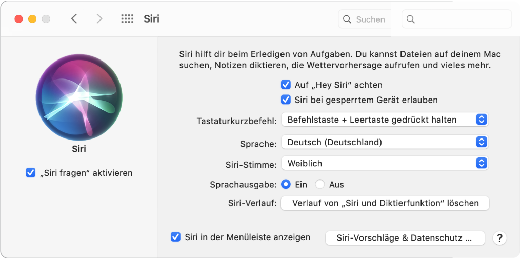 Das Fenster der Systemeinstellung „Siri“ mit ausgewählter Option „„Siri fragen“ aktivieren“ links und mehreren Optionen zum Anpassen von Siri rechts, u. a. „Auf „Hey Siri“ achten“.