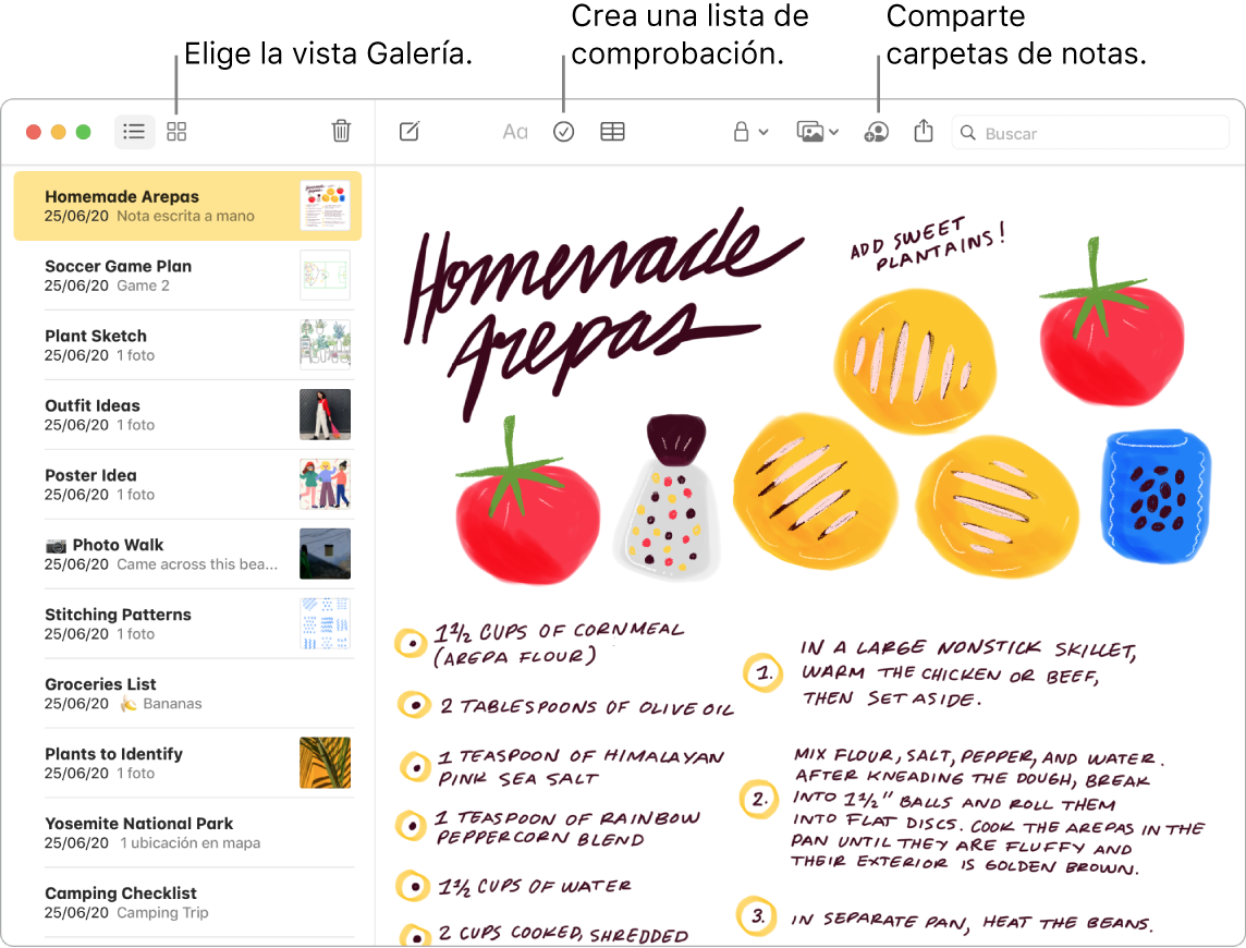 Ventana de la app Notas en la vista Galería con textos que indican los botones “Visualización como galería”, “Lista de comprobación” y “Compartir carpeta”.