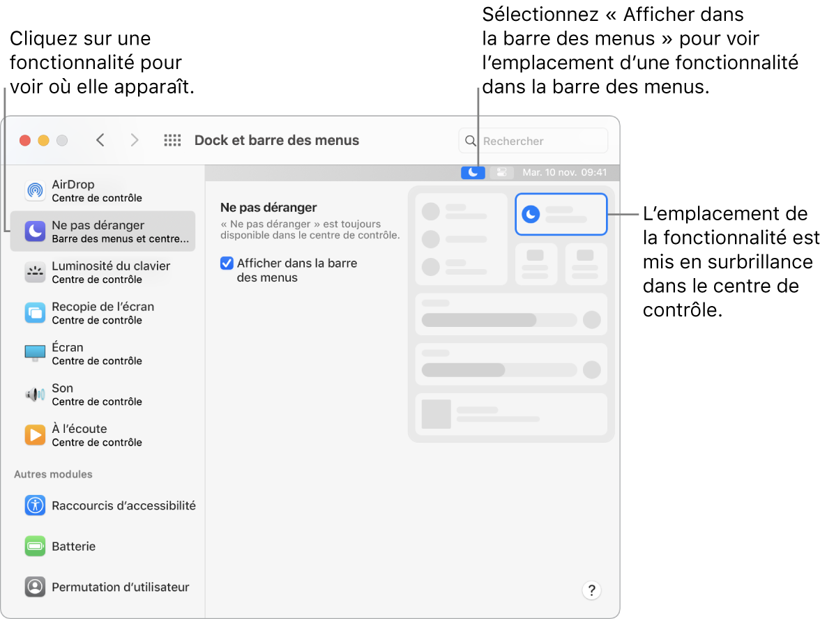 La fenêtre des préférences « Dock et barre des menus ».