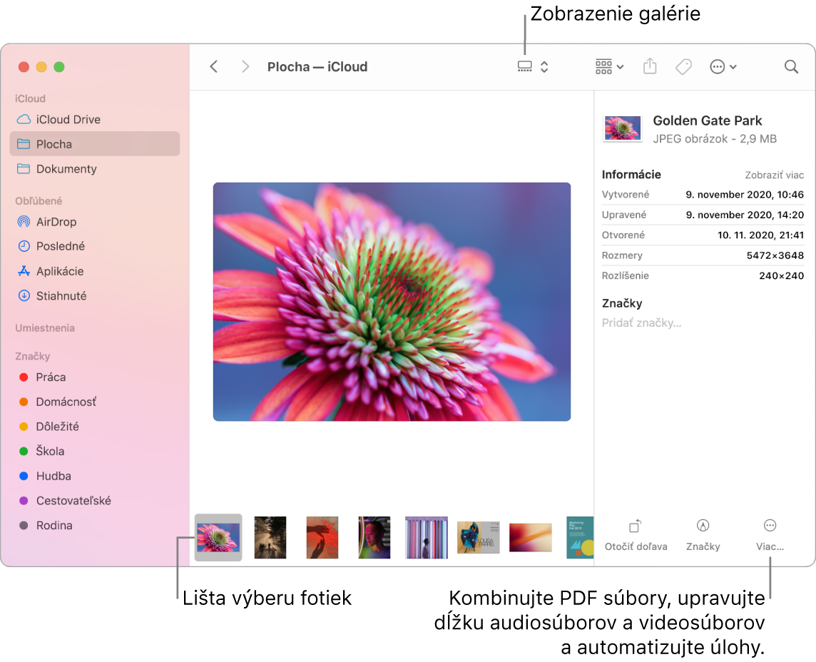 Zobrazenie galérie v otvorenom okno Findera zobrazujúce veľkú fotku spolu s riadkom menších fotiek (posuvnou lištou) pod ňou. Ovládacie prvky na otáčanie, označovanie a ďalšie akcie sú vpravo od posuvnej lišty.