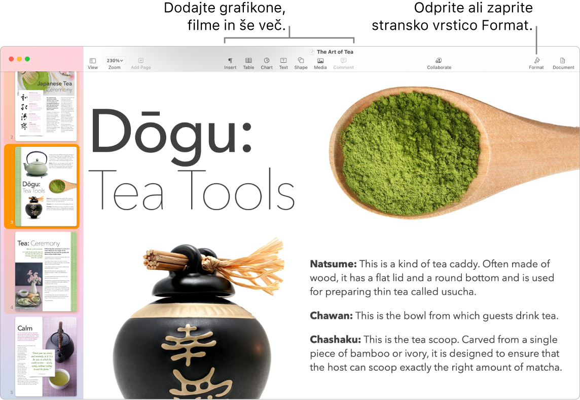 Okno aplikacije Pages, v katerem so prikazane sličice strani, ki so odprte v stranski vrstici na levi strani, orodna vrstica z orodji za urejanje na vrhu, gumb »Collaborate« (Sodeluj) zgoraj desno, na desni strani pa sta gumba »Format« (Oblikuj)« in »Document« (Dokument).