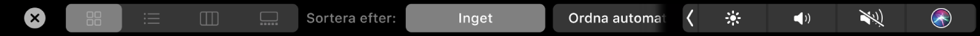 Finders Touch Bar som visar visnings- och sorteringsalternativ.