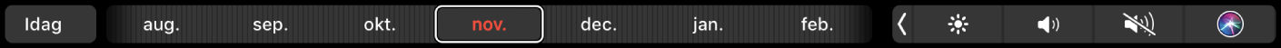 Kalenders Touch Bar med knappen Idag och ett dragreglage för att välja månad.