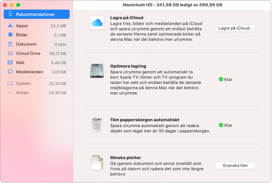 Inställningspanelen Rekommendationer för lagring med alternativen Lagra på iCloud, Optimera lagring, Radera papperskorgen automatiskt och Minska plotter.
