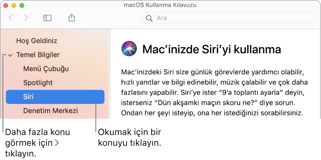 Yardım görüntüleyici, kenar çubuğunda listelenen konuların gösterilmesini ve bir konunun içeriğinin görüntülenmesini gösteriyor.