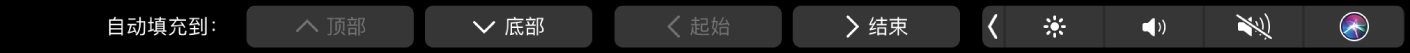 显示“自动填充”按钮的 Numbers 表格触控栏。这些选项包括顶部、底部、开始和结束。