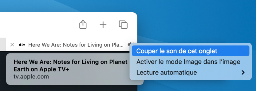 Le sous-menu de l’icône Audio avec les éléments « Couper le son de cet onglet », « Entrer dans Image dans l’image » et « Lecture automatique ».