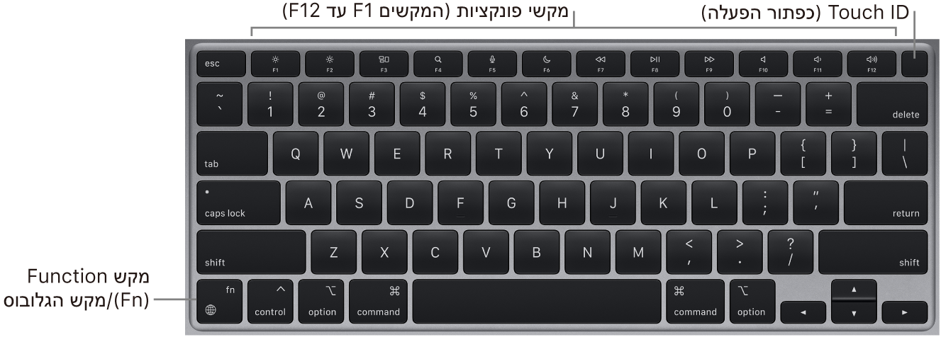 המקלדת של ה‑MacBook Air מציגה את שורת מקשי הפונקציה, את כפתור ההפעלה של Touch ID לאורך החלק העליון ואת מקש הפונקציה (Fn) משמאל למטה.