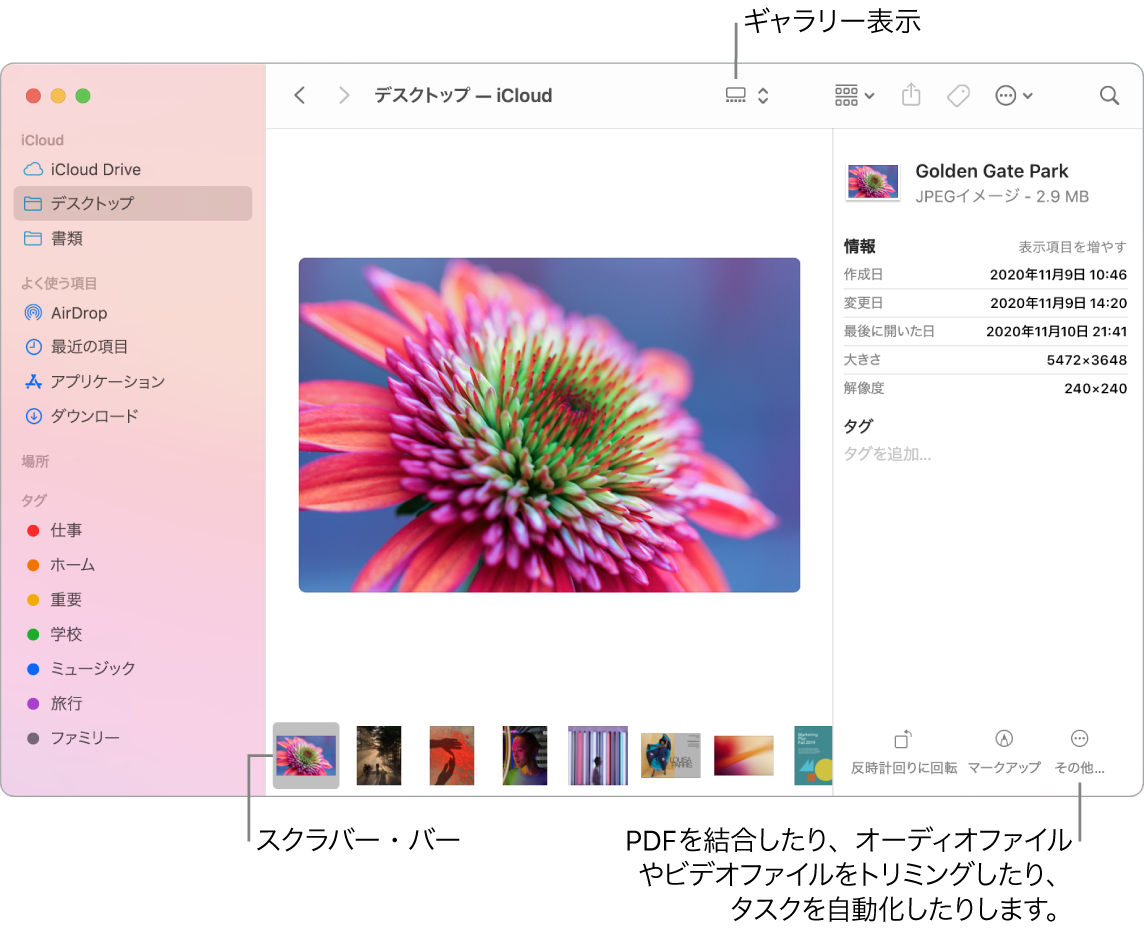 ギャラリー表示で開いているFinderウインドウ。大きい写真と、その下に1列に並んだ小さい写真(スクラバー・バー)が示されています。回転やマークアップなどのコントロールがスクラバー・バーの右側にあります。