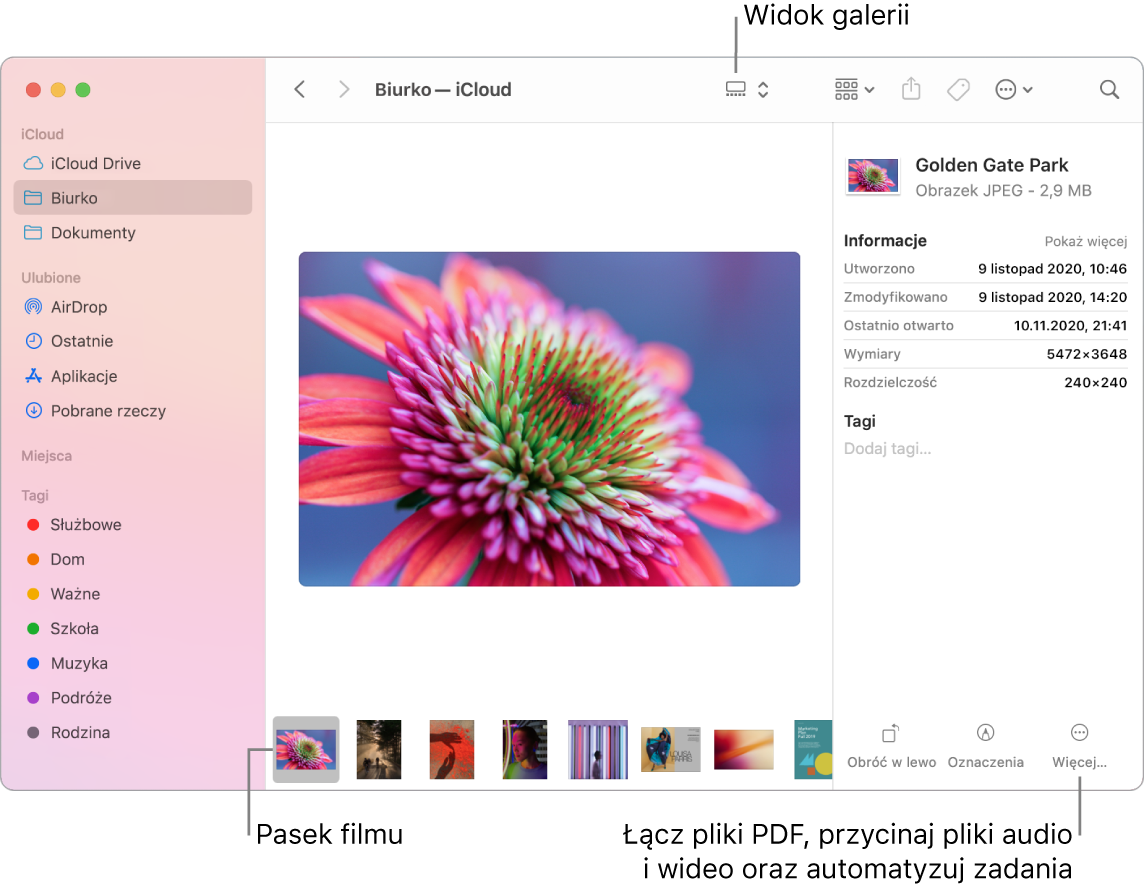 Okno Findera z widokiem galerii, zawierające duże zdjęcie, pod którym widoczny jest szereg mniejszych zdjęć, czyli pasek przeglądania. Po prawej stronie tego paska są narzędzia pozwalające na obracanie, oznaczanie oraz wykonywanie innych czynności.