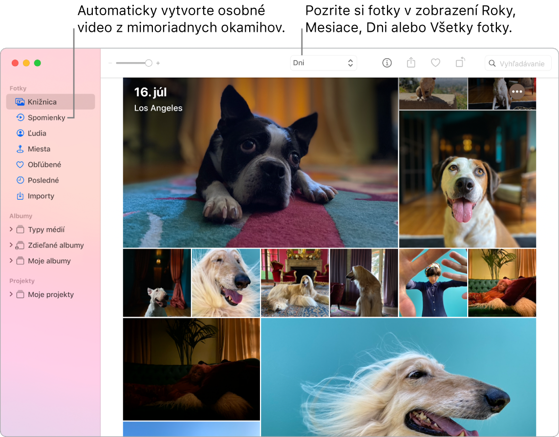 Okno apky Fotky zobrazujúce funkciu Spomienky v ľavom postrannom paneli a vyskakovacie menu v hornej časti okna Fotky, v ktorom môžete zobrazovať fotky v albume podľa dňa, týždňa, mesiaca a roka.