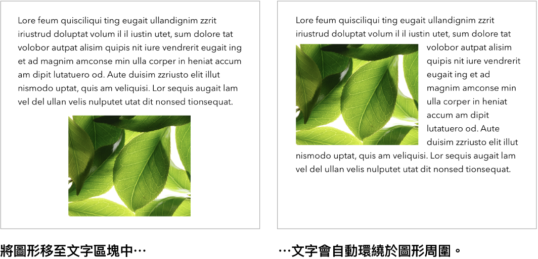 Pages 視窗,顯示文字如何環繞圖形。
