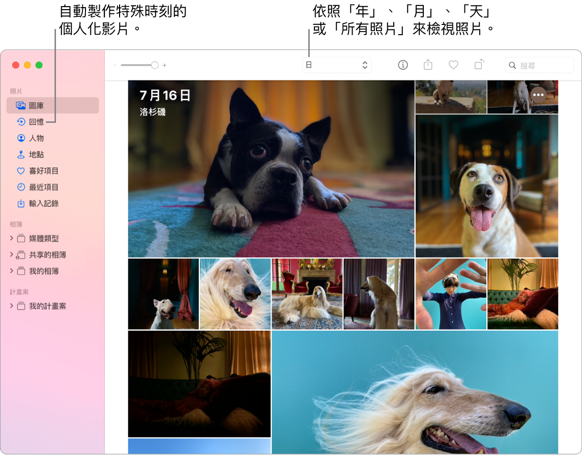 「照片」視窗在左側側邊欄中顯示「回憶」功能,而最上方為您可在相簿中依照日期、星期、月份和年度來檢視照片的彈出式選單。