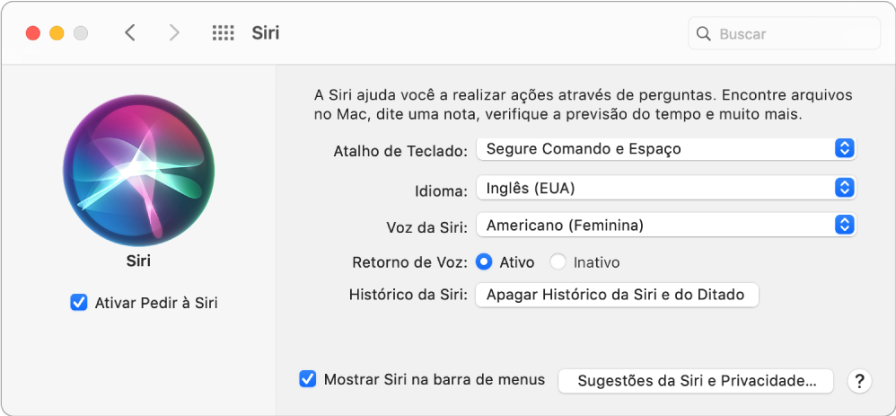 Janela de preferências da Siri com a opção “Ativar Pedir à Siri” selecionada à esquerda e várias opções para personalização da Siri à direita.