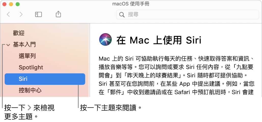 輔助說明檢視程式,顯示如何檢視側邊欄列出的主題以及如何顯示主題的內容。