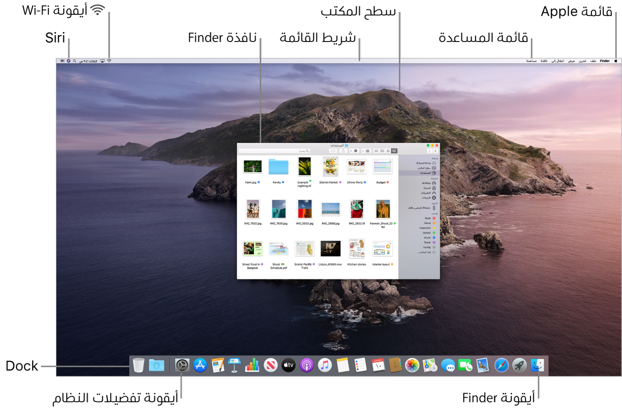شاشة Mac تعرض قائمة Apple، والقائمة مساعدة، وسطح المكتب، وشريط القائمة، ونافذة Finder، وأيقونة Wi-Fi، وأيقونة اسأل Siri، والـ Dock، وأيقونة Finder، وأيقونة تفضيلات النظام والـ Dock.