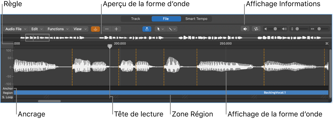 Figure. Éditeur d’échantillons.